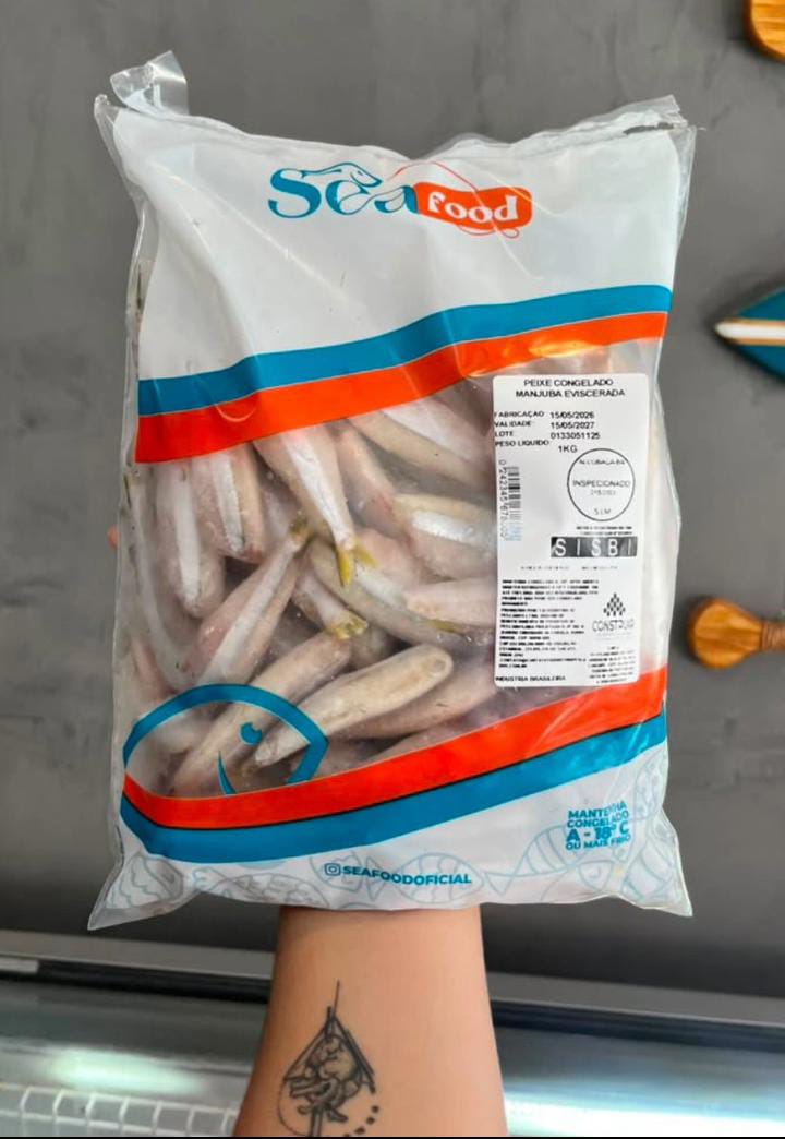 PEIXE CONGELADO MANJUBA EVISCERADA