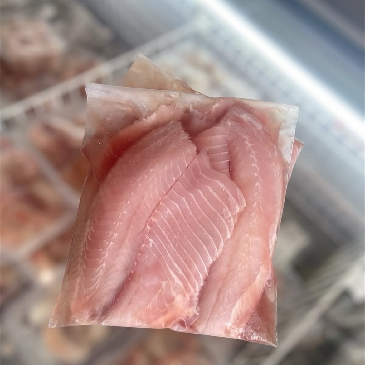 PEIXE FILÉ DE TILAPIA FRESCA