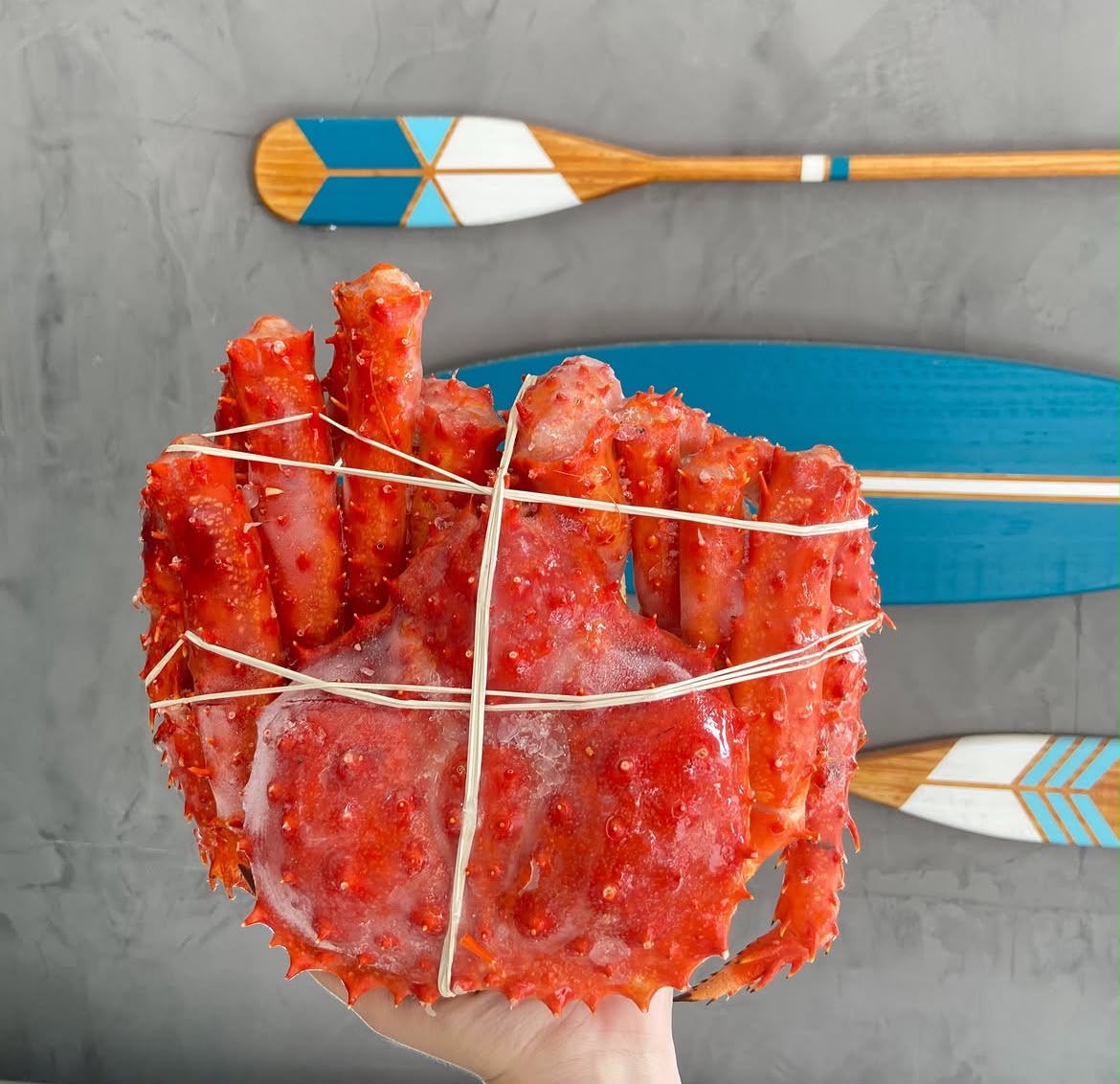 CARANGUEJO KING CRAB